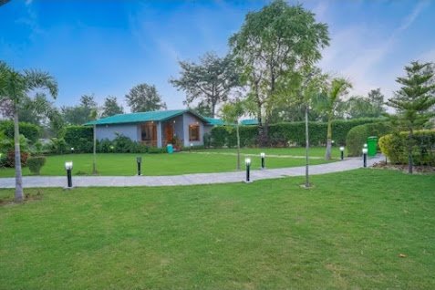 Jungle Book Resort - Balcony View & Stay highlights - Gola Holidays